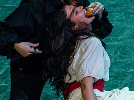 Opéra : Don Giovanni