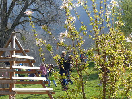 Atelier réveil du printemps