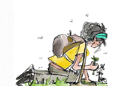 Les Coulisses des Écrins : Plantes, aventure nature