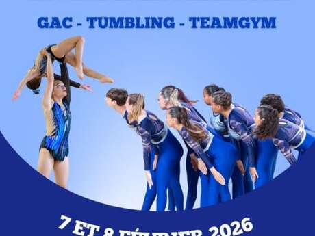 Championnat interdépartemental de teamgym, tumbling et gym acrobatique