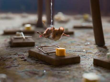 Relaxed cinema - Panique à Noël