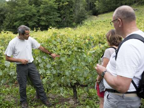 Dégustation de vin de Féternes en terrasse !