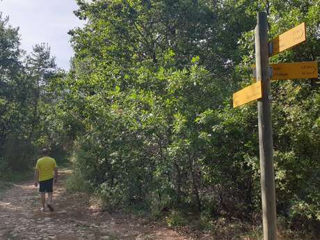 SAULT - Les Bois du Défends (iti moyen)