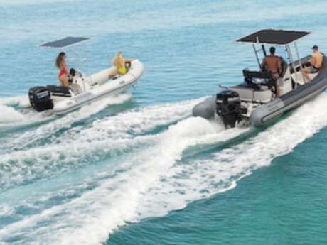 Eleuthera Plongée Tahiti - Whale watching tours