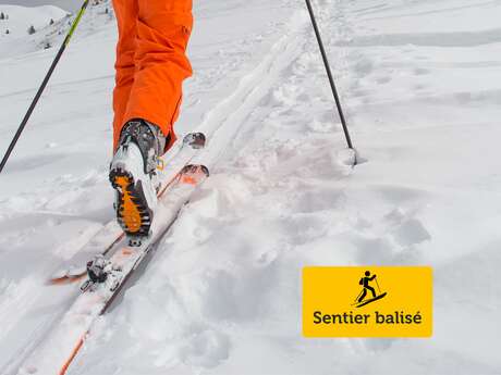 Montée des Chavannes - Ski de rando