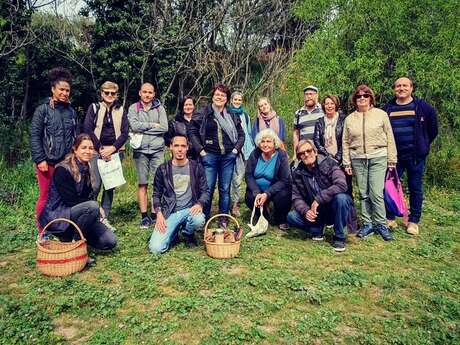 Balade découverte des plantes sauvages comestibles