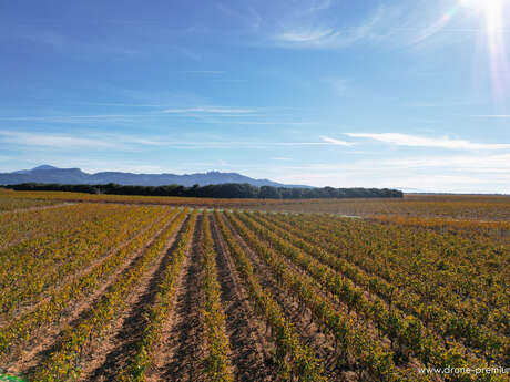Domaine de la Damase