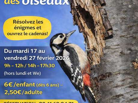 A la découverte des oiseaux du musée de l'ardoise
