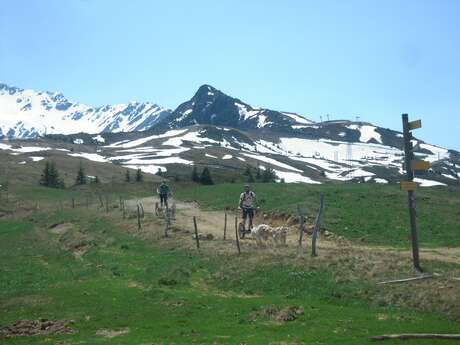 Mushing dans la vallée du Haut Bréda et au Pleynet