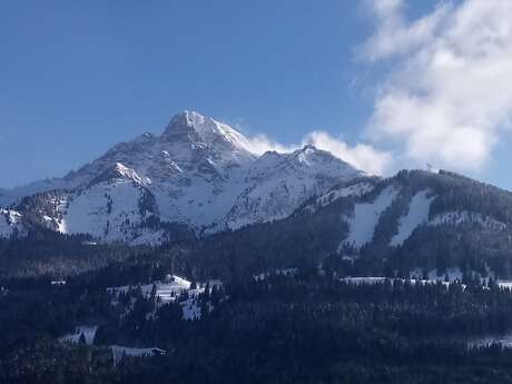 Randonnée raquettes au plateau de Savolaire - Suisse avec Martine