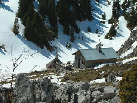 "La Montagne de Nifflon" Snowshoe Trek
