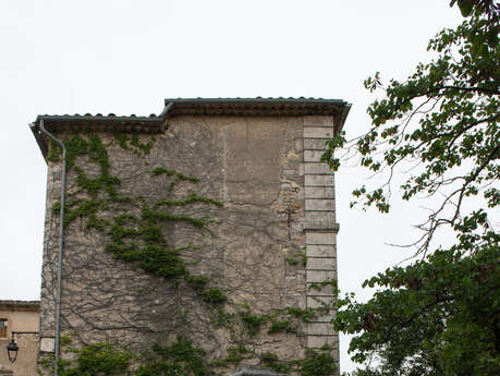 Le Château de la Condamine à St Hippolyte de Caton