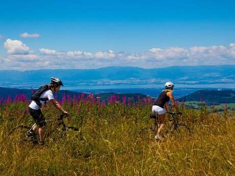 Mountain bike accompaniment