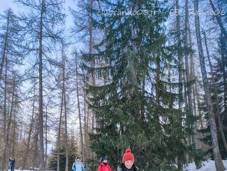 Randonnées Raquettes avec ClubRando06 à Saint-Dalmas-le-Selvage