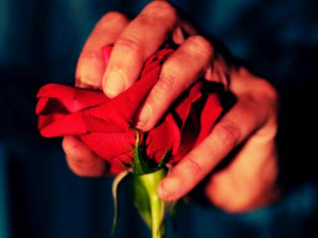 Une lumière dans la nuit