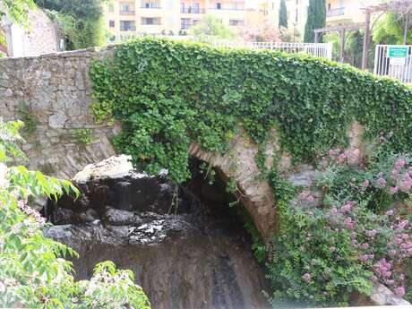 Pont Sainte-Cécile