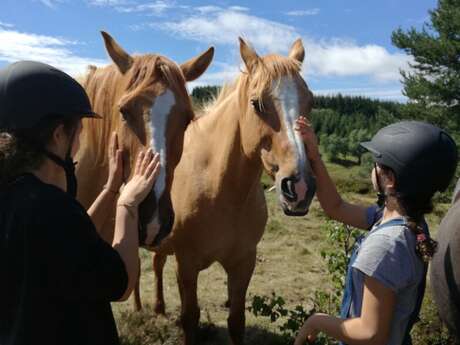 Balade à cheval - Ferme équestre de Montcodiol