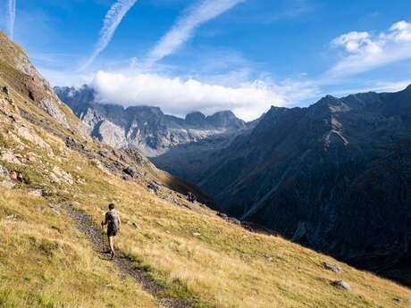 Le col du cheval de bois