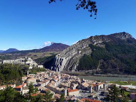 Tour du Bois de Bûche (N°15)