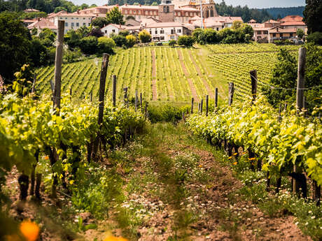 Route des Vins Forez-Roannais en Loire Volcanique