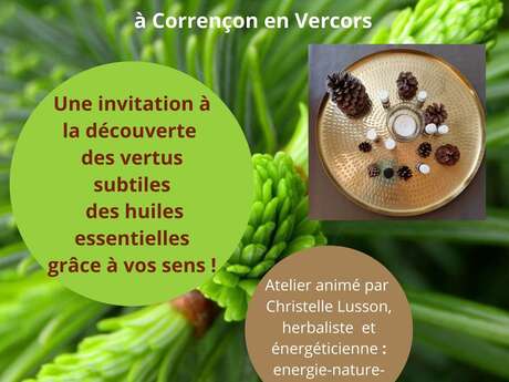 Atelier olfaction des huiles essentielles