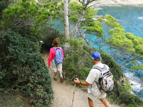 Porquerolles hors des sentiers battus - Hyères