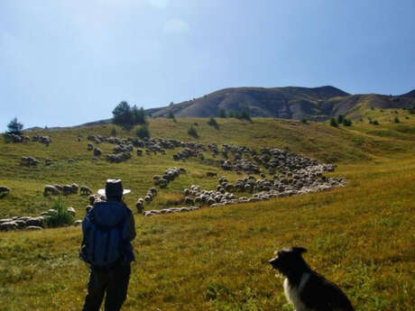 Sur les pas du berger : balade, contes et dégustation