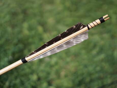 Tournoi des archers