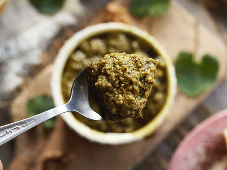 Kochworkshop: Pesto aus Wildkräutern