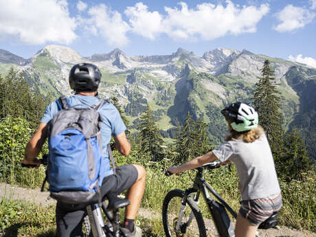 Electric mountain biking: introduction