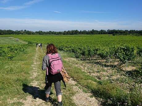 Winegrower's trail at Canteperdrix cellar