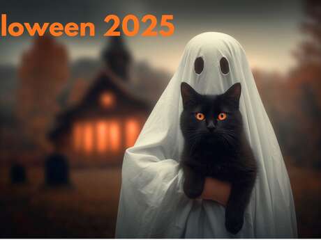 Fête d'halloween - APE VILLY
