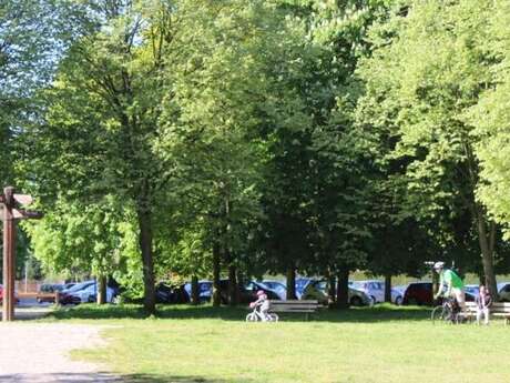 Les sorties des Amis de la Forêt