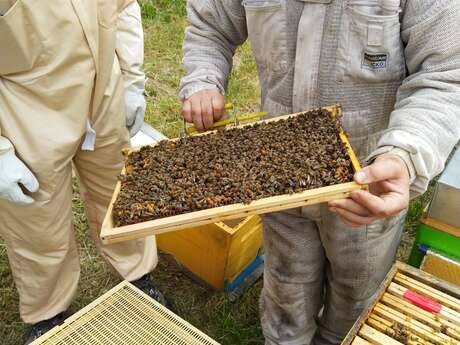 Stage d'initiation à l'apiculture