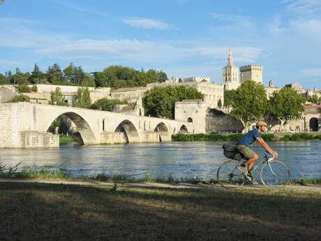 ViaRhôna à vélo - Étape 19 - Avignon > Beaucaire