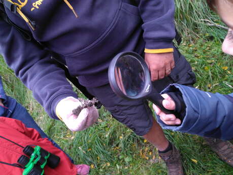 Atelier en famille " Enquête en famille au puy de Mur "