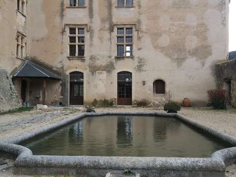 Visite du Château d'Allemagne en Provence