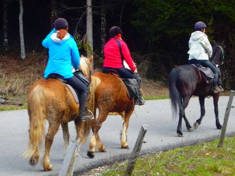 Randonnées personnalisées