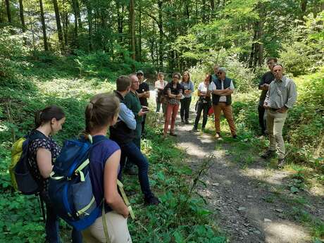 Sortie en forêt