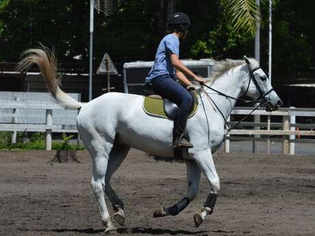 Centre Equestre L'Eperon