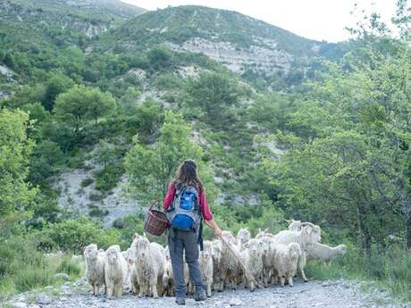 Visite de ferme