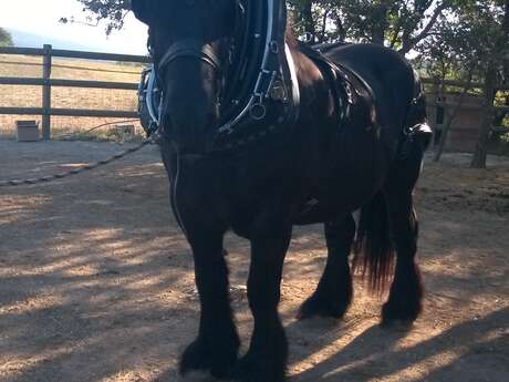 Domaine de Chantegrillet