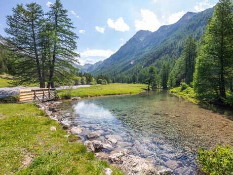 Trail N°08 - Le Lauzet