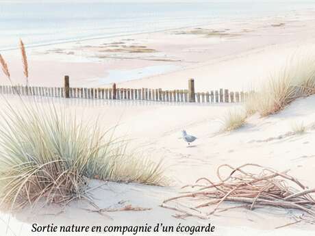 Naturausflug mit den Ecogardes