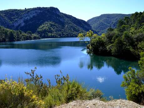 The Quarter from Saint-Pierre