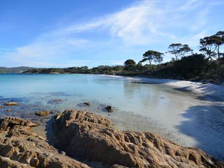 Réveillonnez sous les palmiers et 1er de l'an à Porquerolles