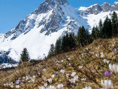 Réveil printanier - Stand de la réserve naturelle au marché