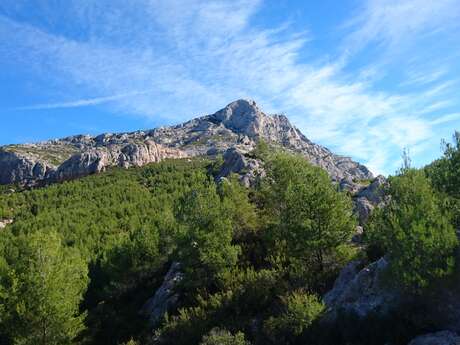 Grand Site Concors Sainte-Victoire