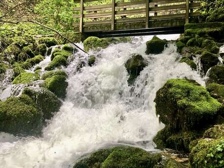 Balade à la cascade de Nanceau