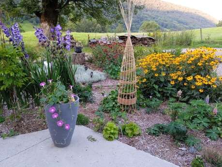 Architecture végétale : Atelier de vannerie en osier vivant